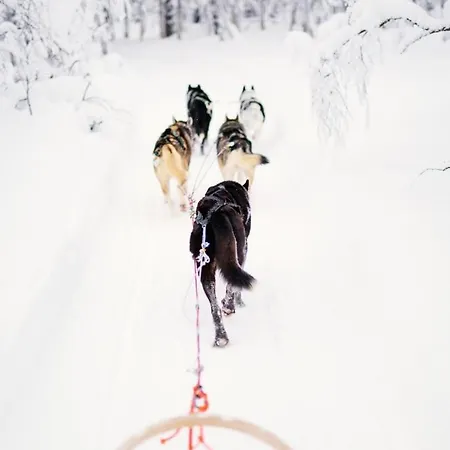 Villa Exclusive Neituri Manor Istunmaki