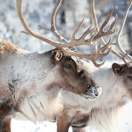 Villa Exclusive Neituri Manor