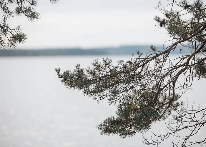 Exclusive Neituri Manor