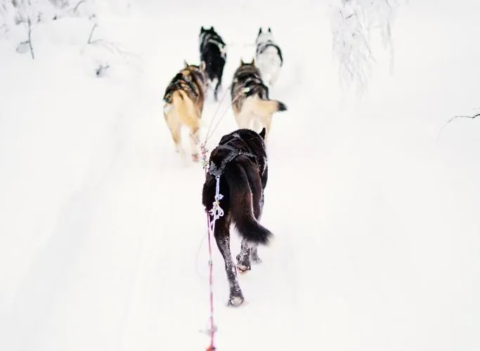 Villa Exclusive Neituri Manor Istunmaki