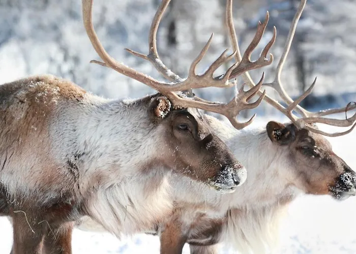 Villa Exclusive Neituri Manor